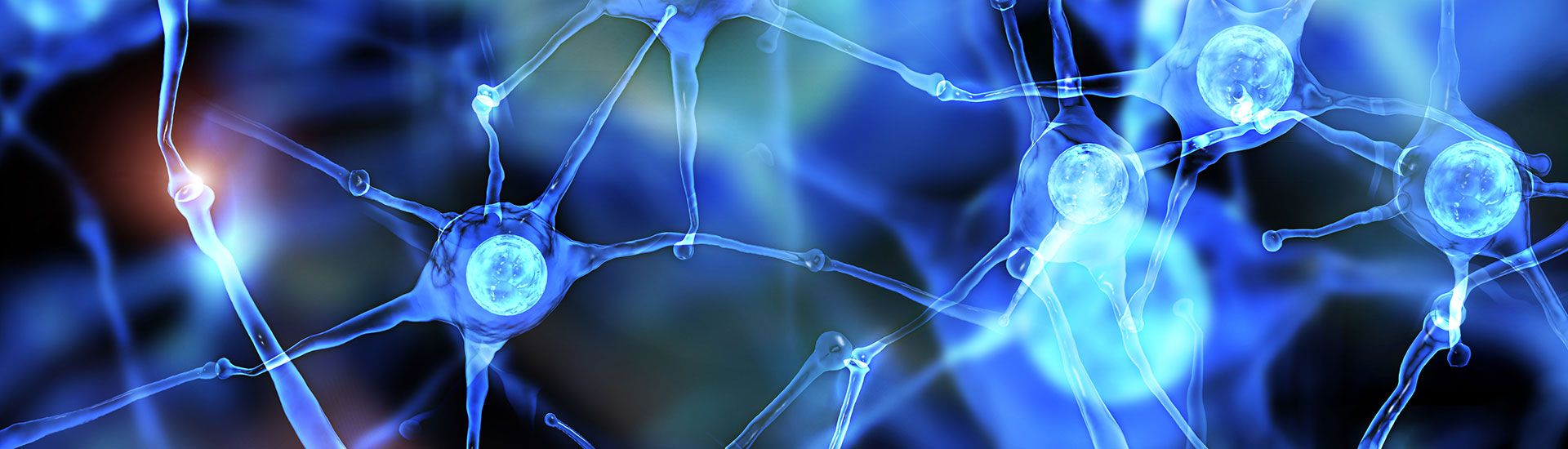 Neurons illuminated in blue